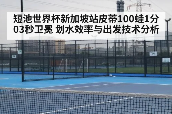 短池世界杯新加坡站皮蒂100蛙1分03秒卫冕 划水效率与出发技术分析（hth）
